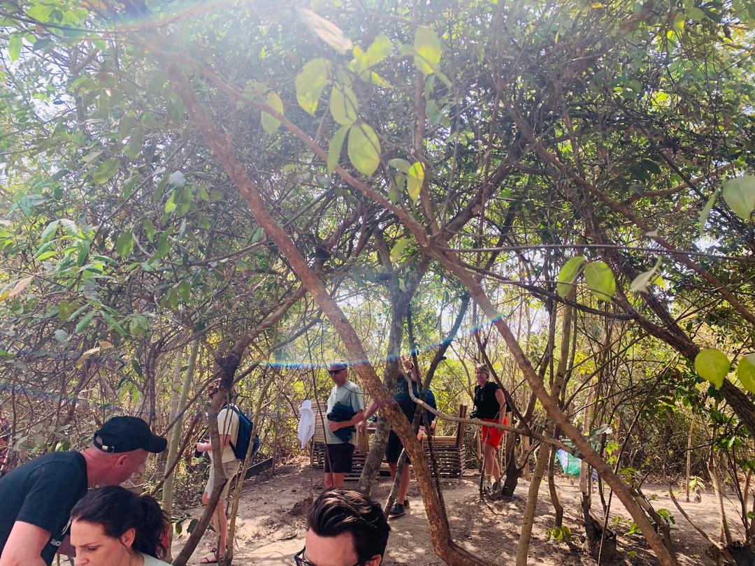 Climate Change Action